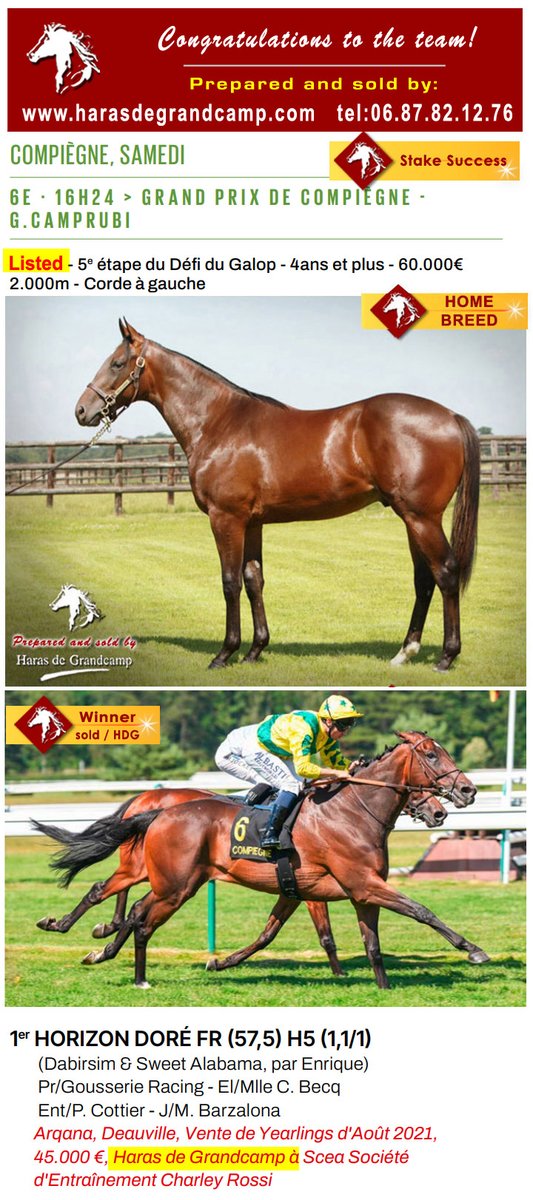 3rd stakes success of the week ... 🙂
Congratulations #Horizon_Doré, and team, 1st Grand Prix De Compiègne - Listed Race / Compiègne - 2025.06.22
Horizon Doré, born, raised and sold by HDG; today more than 826 000€ earned 🙂
harasdegrandcamp.com