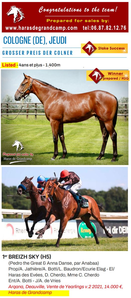 New stakes success ... 🙂
Congratulations #Breizh_Sky, and team, 1st Grosser Preis Der Colner - Listed Race / Cologne (DE) - 2025.06.19 
Breizh Sky, prepared for sale by HDG; today more than 525 000€ earned 🙂
harasdegrandcamp.com