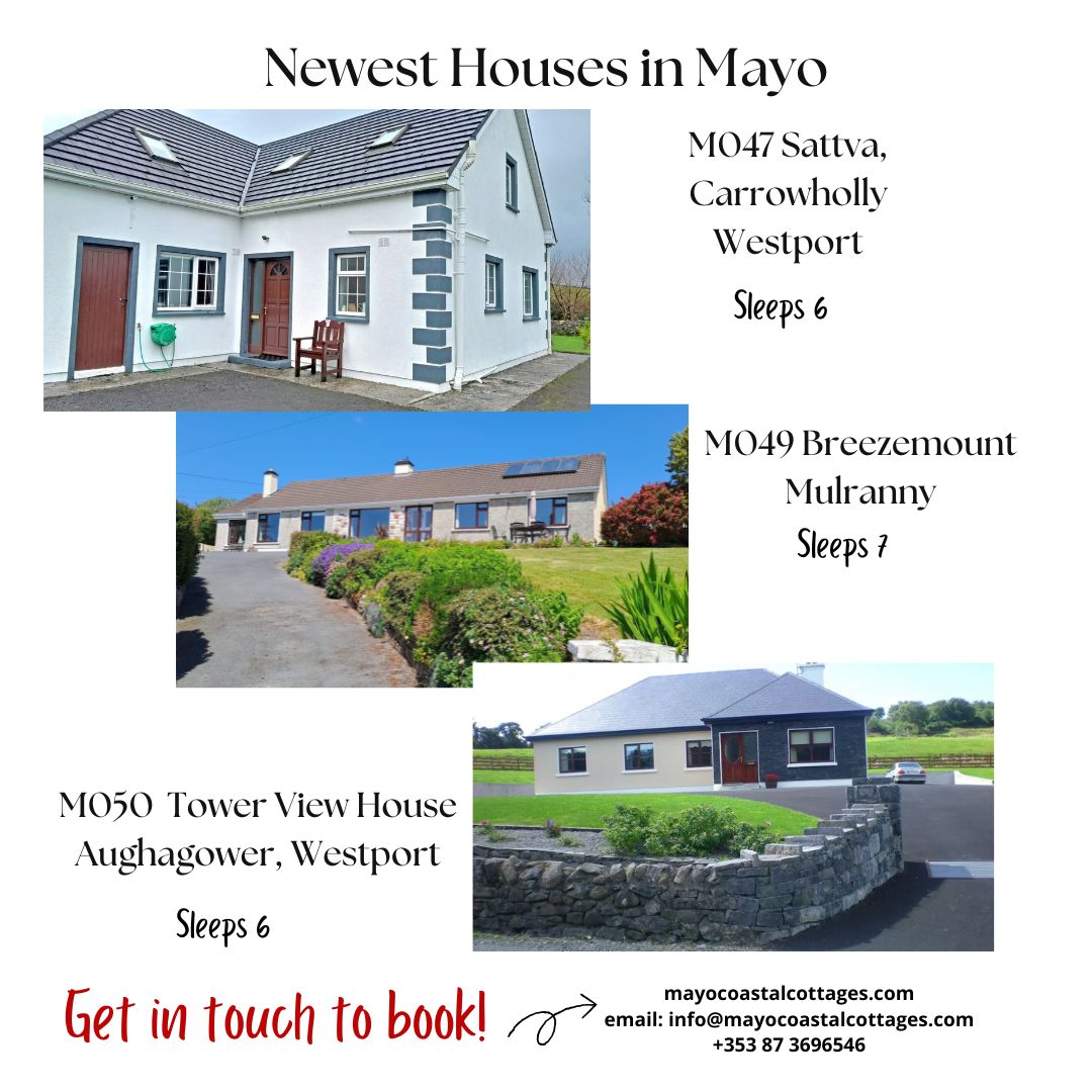 Connemara Coastal Cottages tweet media