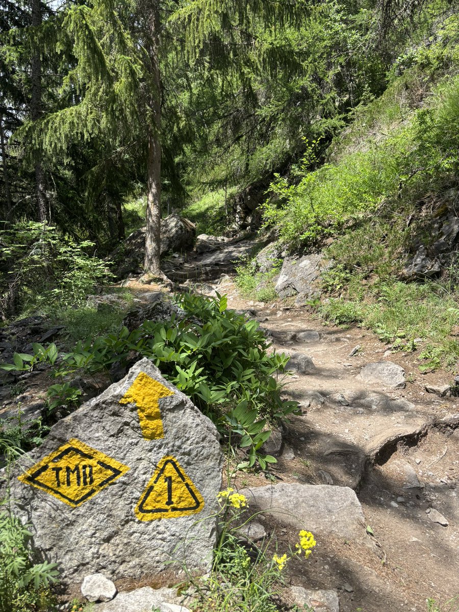 mario_manresa's tweet image. Refugio Monte Bianco to Refugio Bertone ✅ off to a great start with some serious climbing and breathtaking views. Proud and humbled to be here. #TMB
Please consider a donation to @CrohnsColitisFn at: …challenge.crohnscolitisfoundation.org/index.cfm?fuse…