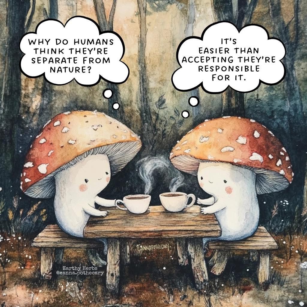 Robina Hearle (@robinahearle) on Twitter photo 