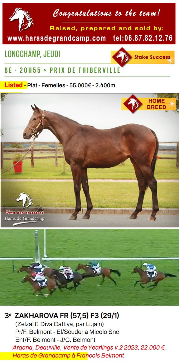 2nd stakes success of the week ... 🙂
Congratulations #Zakharova, and team, 3rd Prix De Thiberville - Listed Race / ParisLongchamp - 2025.06.19
Zakharova born, raised and prepared for sale by HDG 🙂
harasdegrandcamp.com