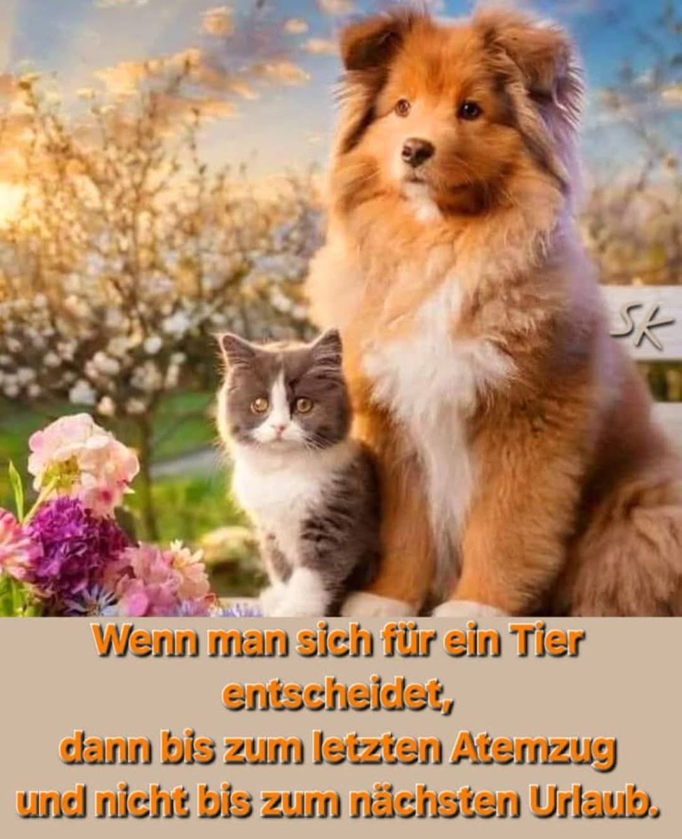 Unbedingt