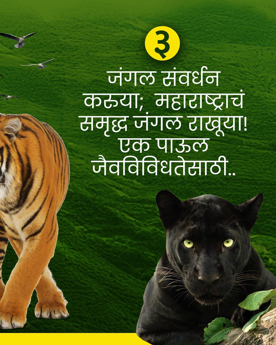 isiddheshRkadam's tweet photo. आपल्या पृथ्वीचं खरं सौंदर्य तिच्या जैवविविधतेत दडलंय. प्रत्येक पक्षी, प्राणी, वनस्पती हा निसर्गाचा अविभाज्य अनमोल घटक असून या प्रत्येकाचं अस्तित्व टिकवणं म्हणजे आपलंही भविष्य सुरक्षित करणं आहे. कारण वन्यजीवांचा नाश म्हणजे निसर्गाच्या समतोलतेमध्ये बाधा आणि जैविक चक्रामध्ये अडथळा निर्माण करणे होय. म्हणूनच जंगलांचं रक्षण, प्रजातींचं संवर्धन आणि जैवविविधतेचा सन्मान या आपल्या जबाबदाऱ्या आहेत. जंगल आणि जैवविविधता संवर्धनाच्या दिशेने भविष्यासाठी आपली आजची कृती महत्वाची आहे.

#SiddheshKadam #Nature #animal #Maharashtra