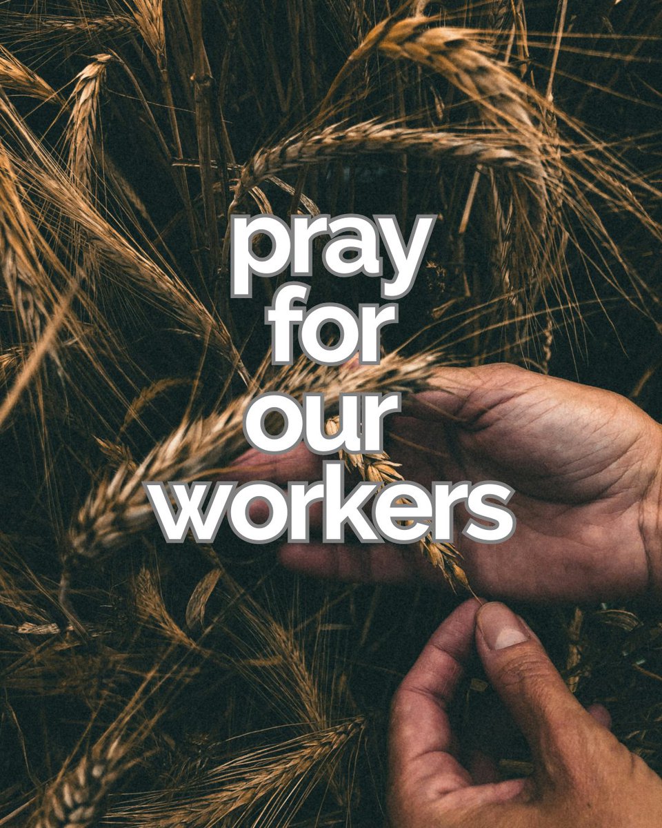 ReachAcross tweet media