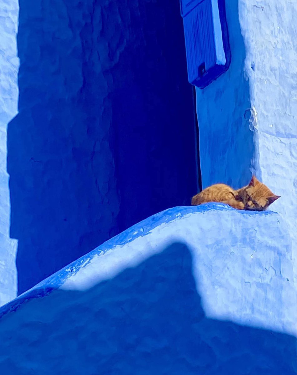 Gianni® (@giannij08) on Twitter photo 