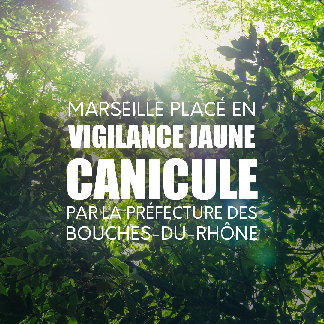 🟡🌡️ En raison des fortes chaleurs, Marseille et le département des Bouches-du-Rhône sont placés en vigilance canicule de niveau 2 (Jaune) à partir de ce lundi 23 juin à 12h et ce jusqu'à mardi 24 juin minuit.

Pour en savoir plus : marseille.fr/canicule