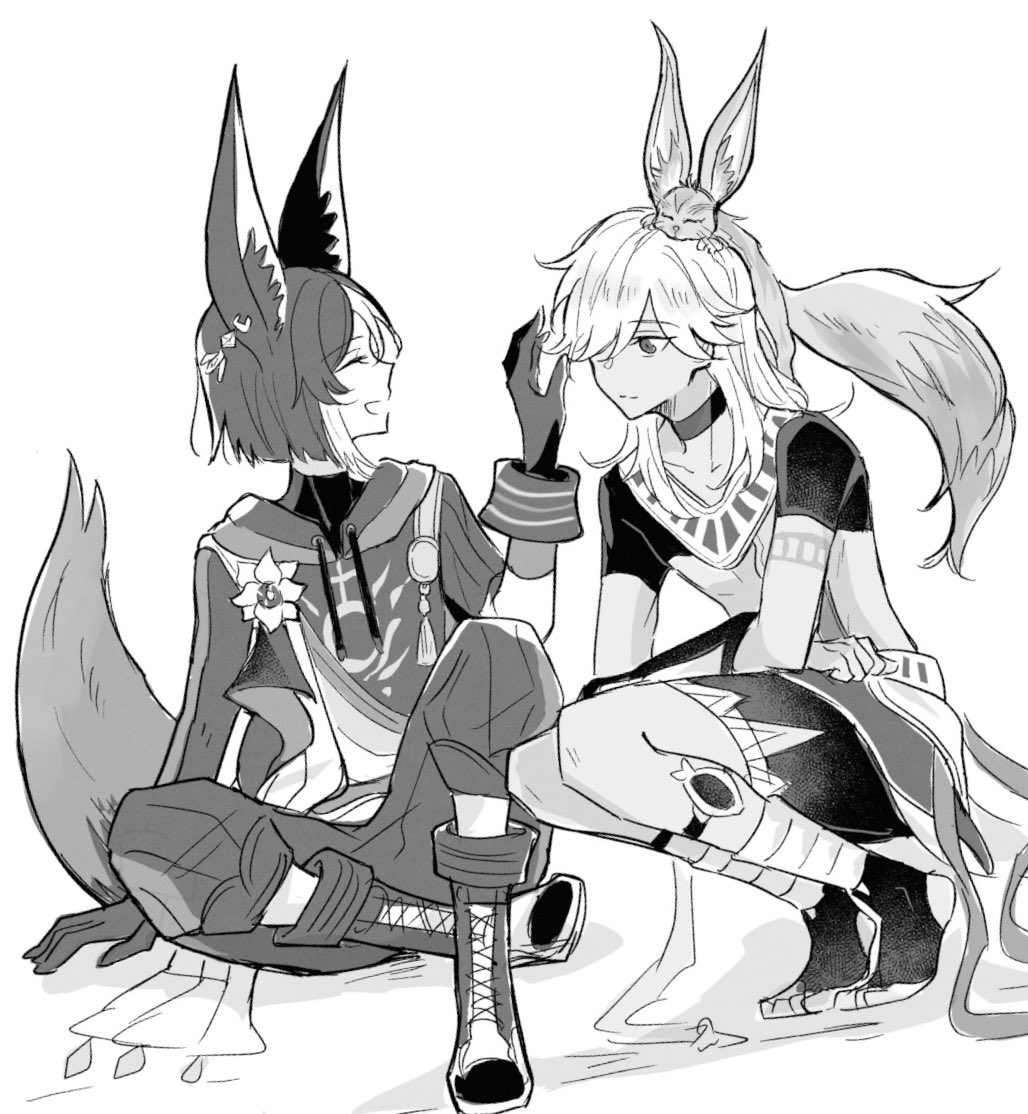 セノナリ 