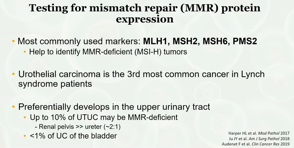 Janira Navarro tweet media