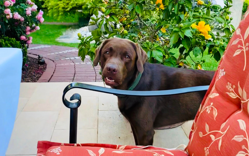 Monika Schulze tweet media