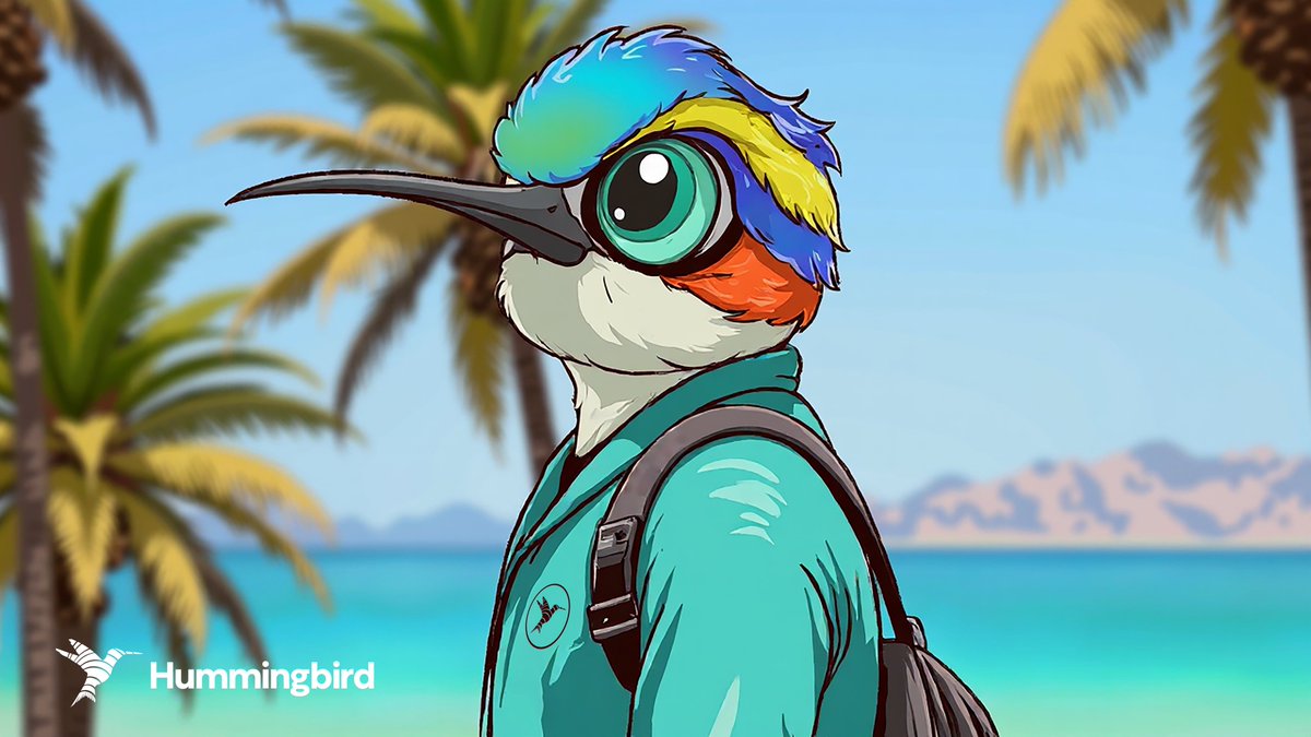 Hummingbird tweet media