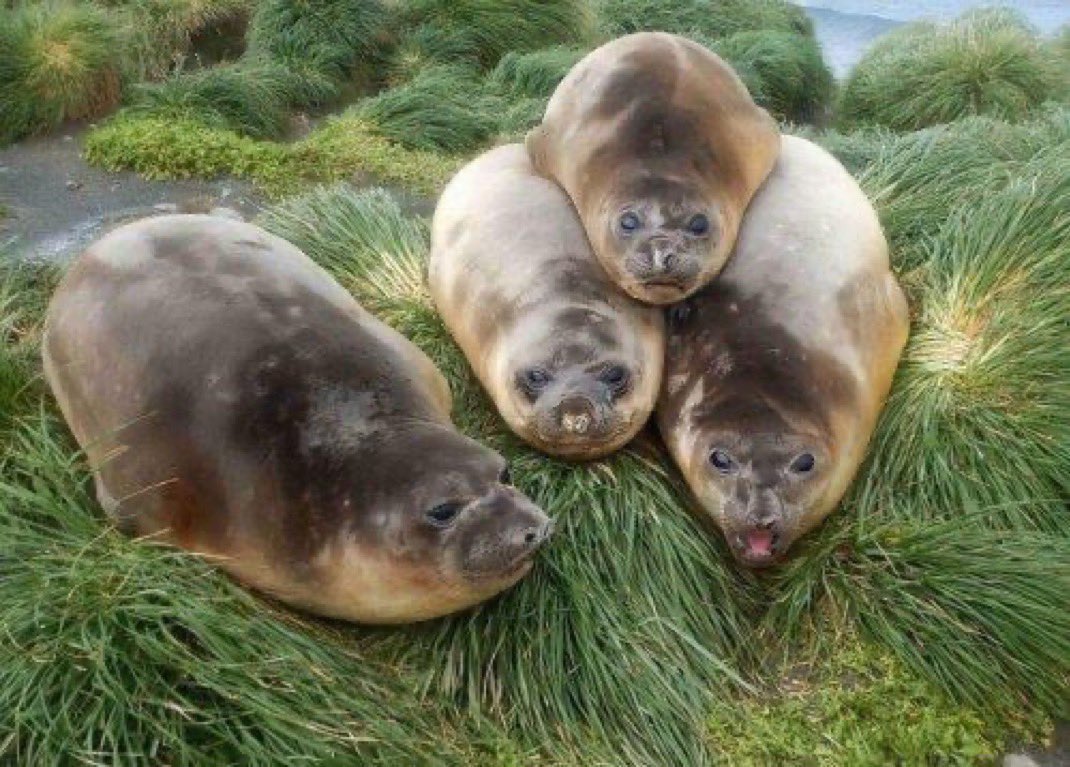 tivent_1's tweet image. boy why you stacked