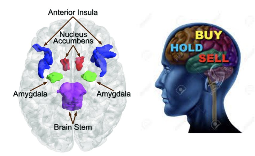 Have you heard of neuroforecasting? 

It forecasts market level behaviour through neural responses of small samples.

Are you bullish on this?

I am developing a novel and scalable approach that allows forecasting through neurocomputional models of decision-making. Stay tunned...