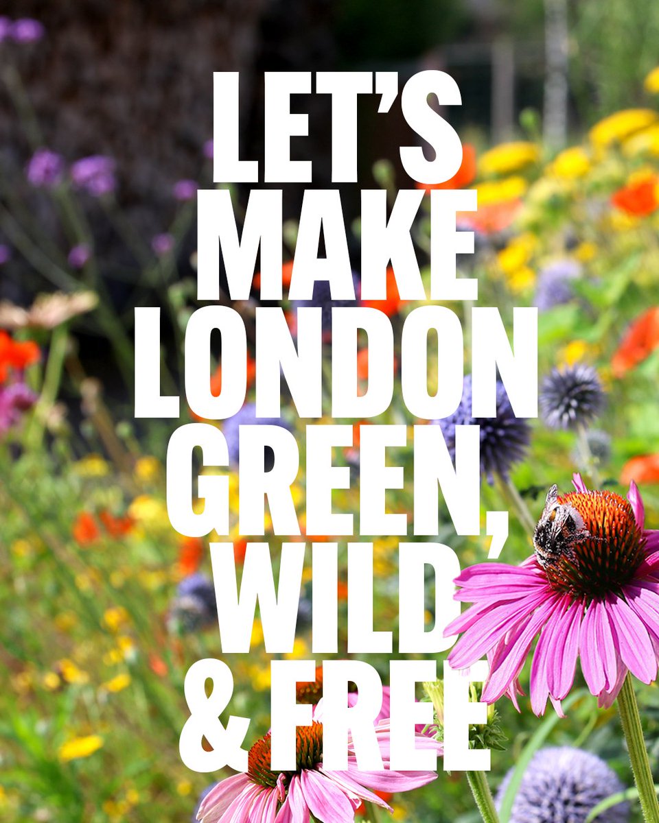 People from Black, Asian or minority ethnic communities are more than twice as likely to live in an area with less green space. The Mayor's Green Roots Fund will tackle this injustice - because access to green space shouldn't be a privilege🌿

More 👉 bit.ly/4l38hR5