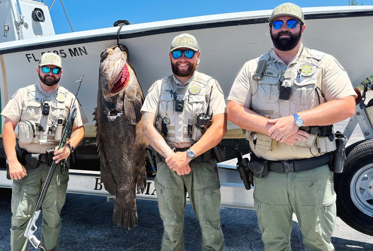Recently, our officers received reports of an individual spearfishing within 100 yards of a public beach, which is prohibited. After attempting to contact the spearfisherman from the shore of Pompano Beach, the suspect paddled deeper into the ocean &amp; purposely capsized his canoe