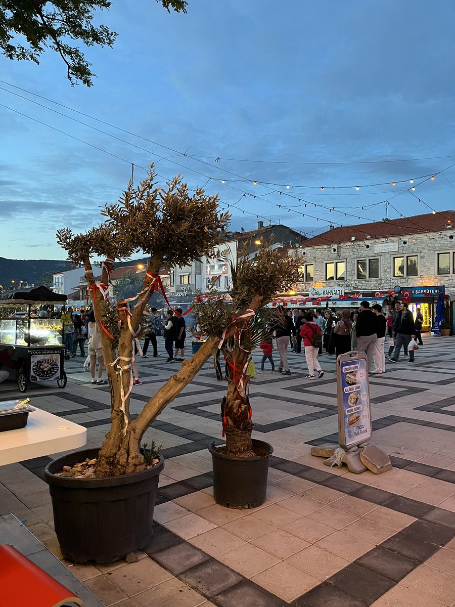 absrtmrv's tweet photo. İzmir /Foça 🤍 https://t.co/P1dCAX9yYA