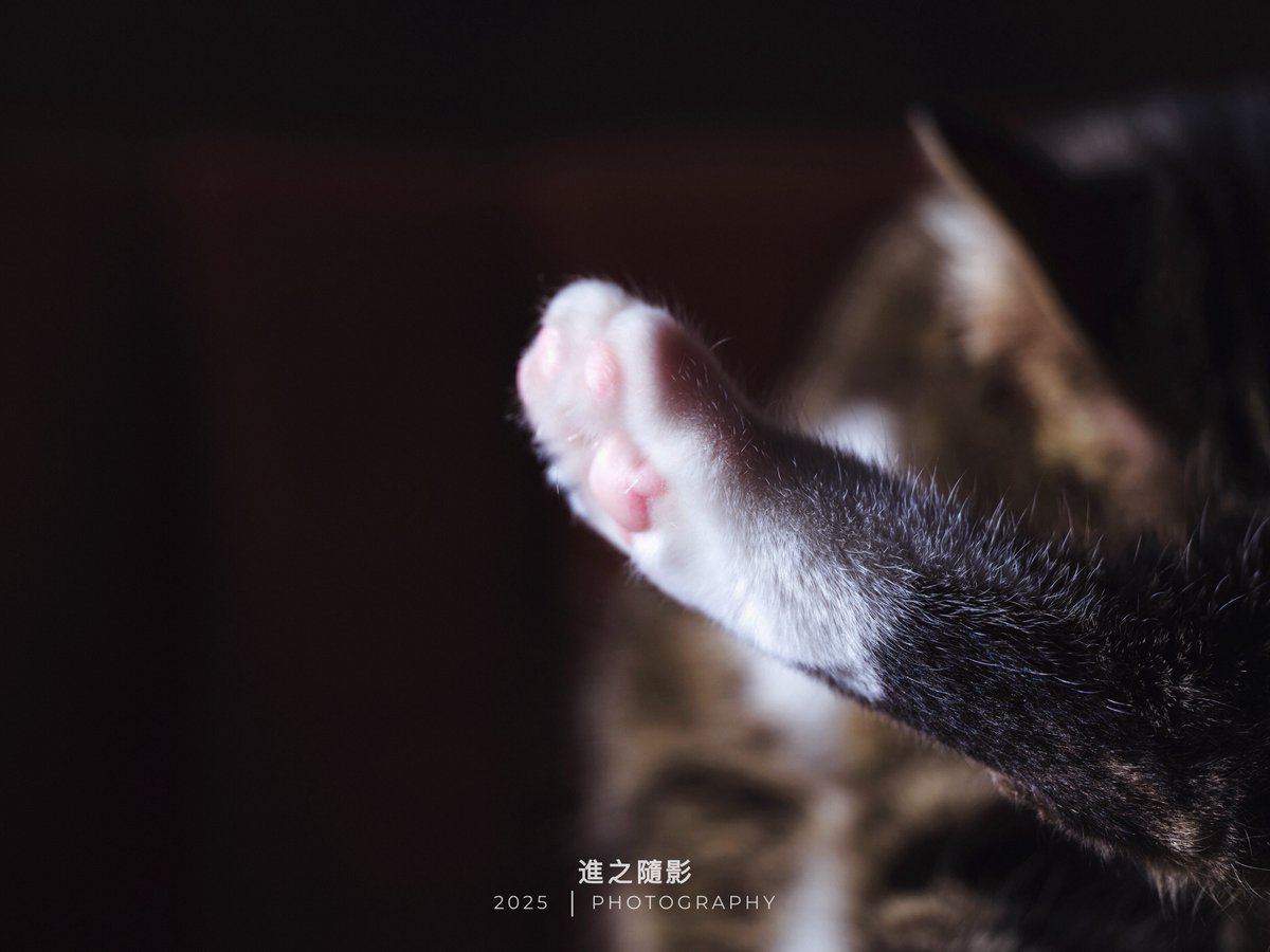 Hello, World！