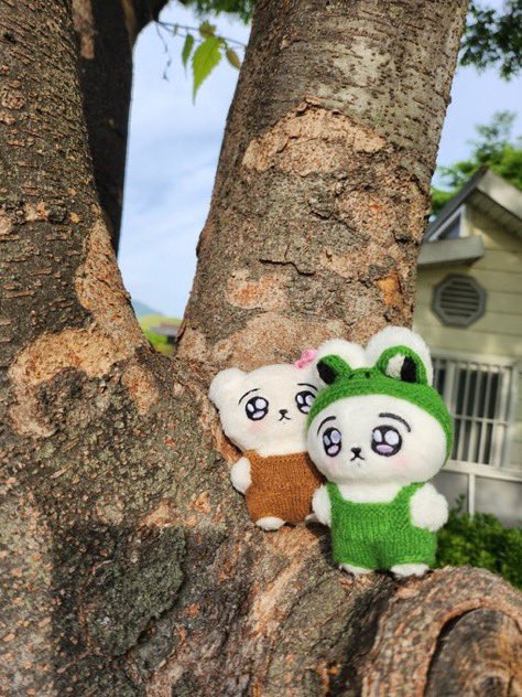 kooookoookoo's tweet photo. 🐰🐶
꾸꾸꾸 MINI VER. 마지막 재고 신청서

2025.06.23 - 재고소진시
📝FORM : https://t.co/QMBqQJ05tl

💡강아지는 소량이라 소진시 환불됩니다🥲 (소진시 공지)
🔖자세한 내용은 폼을 확인해주세요. https://t.co/uS7VBV0xdB