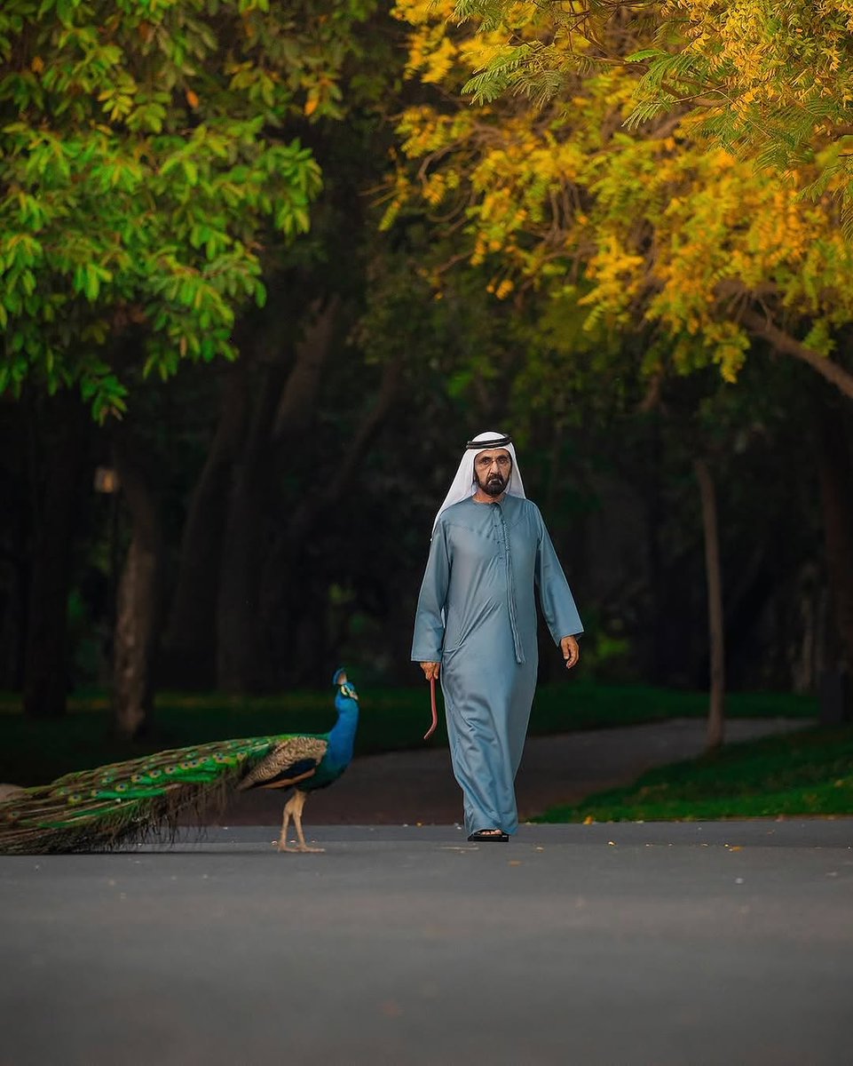 يتمشّى شيخنا محمد بن راشد، وكأنّه يمشي بين صفحات الطبيعة 🌿
هيبة، وقار، وحبّه للأرض باين فكلّ خطوة 👣
الله يحفظه ويطوّل بعمره 🇦🇪🦚
#محمد_بن_راشد #الامارات #دبي #قائد_استثنائي #فخر_الامارات #عيال_زايد #القيادة_الملهمة #حكمة_الشيخ #رمز_العطاء #طبيعة_الامارات
#Dubai #UAE #MIGA #Iran