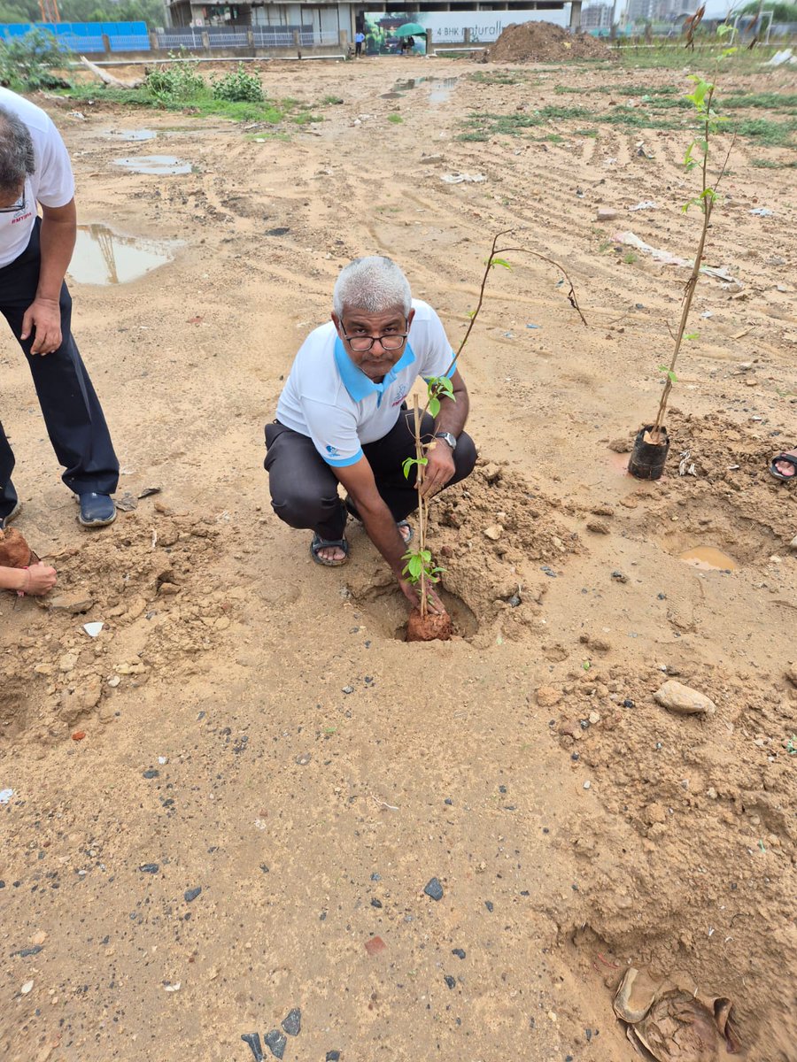 OfficialIPA's tweet image. 250 trees planted by Indian Plumbing Association Ahmedabad Chapter on 22nd June under Ek Ped Maa ke Naam!
#plantmoretrees #conservenature