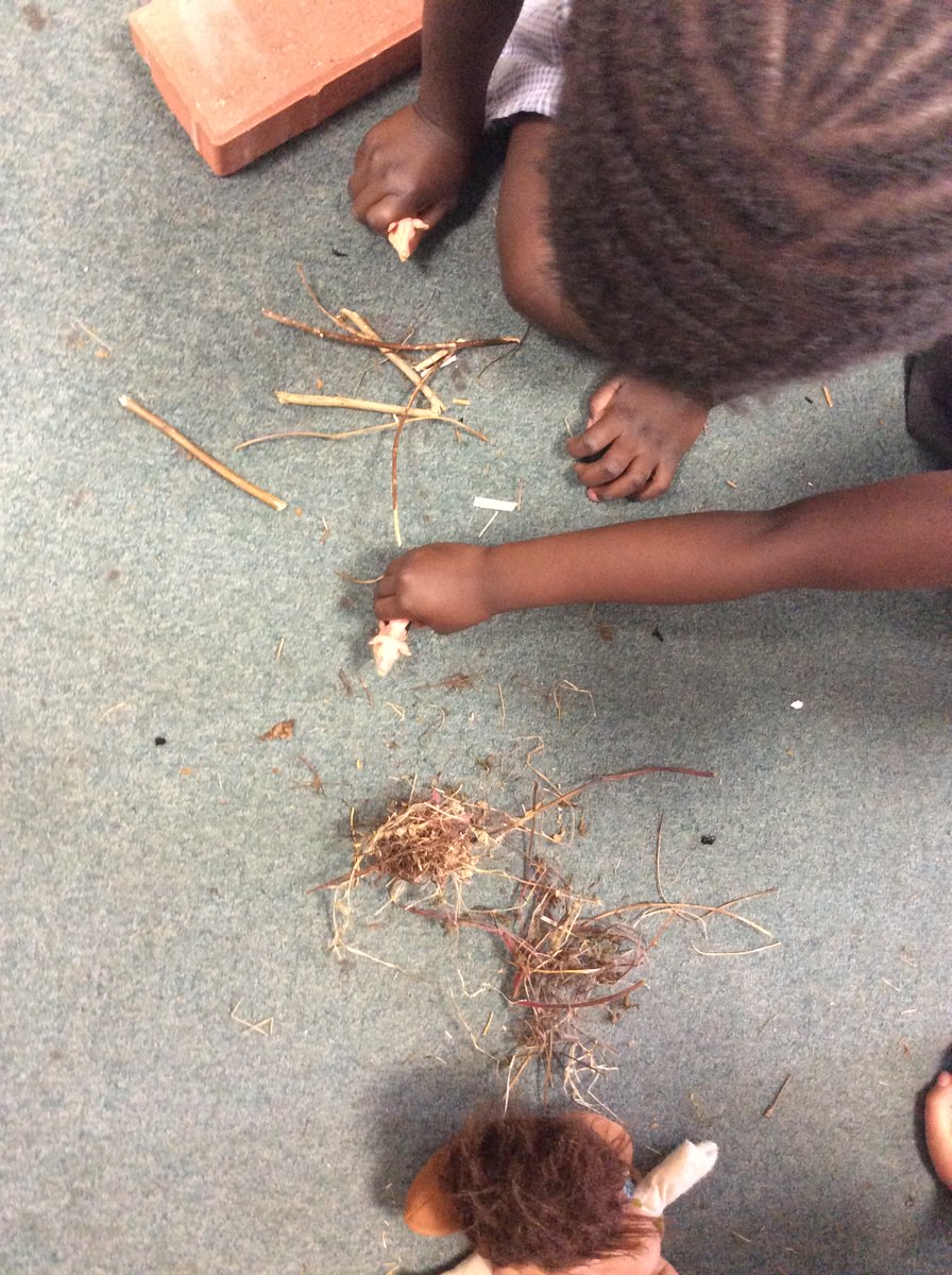 Foxfield - Reception (@foxfieldrec) on Twitter photo <a href="/FoxfieldRec/">Foxfield - Reception</a> Today we read the story-tale of 'The three little pigs!' We do our own investigation by collecting some straw, sticks and a brick. We used a fan to be the wolf when he flows the houses down, to see if any of the materials would blow away just like in the story. <a href="/FoxfieldRec/">Foxfield - Reception</a> Today we read the story-tale of 'The three little pigs!' We do our own investigation by collecting some straw, sticks and a brick. We used a fan to be the wolf when he flows the houses down, to see if any of the materials would blow away just like in the story.