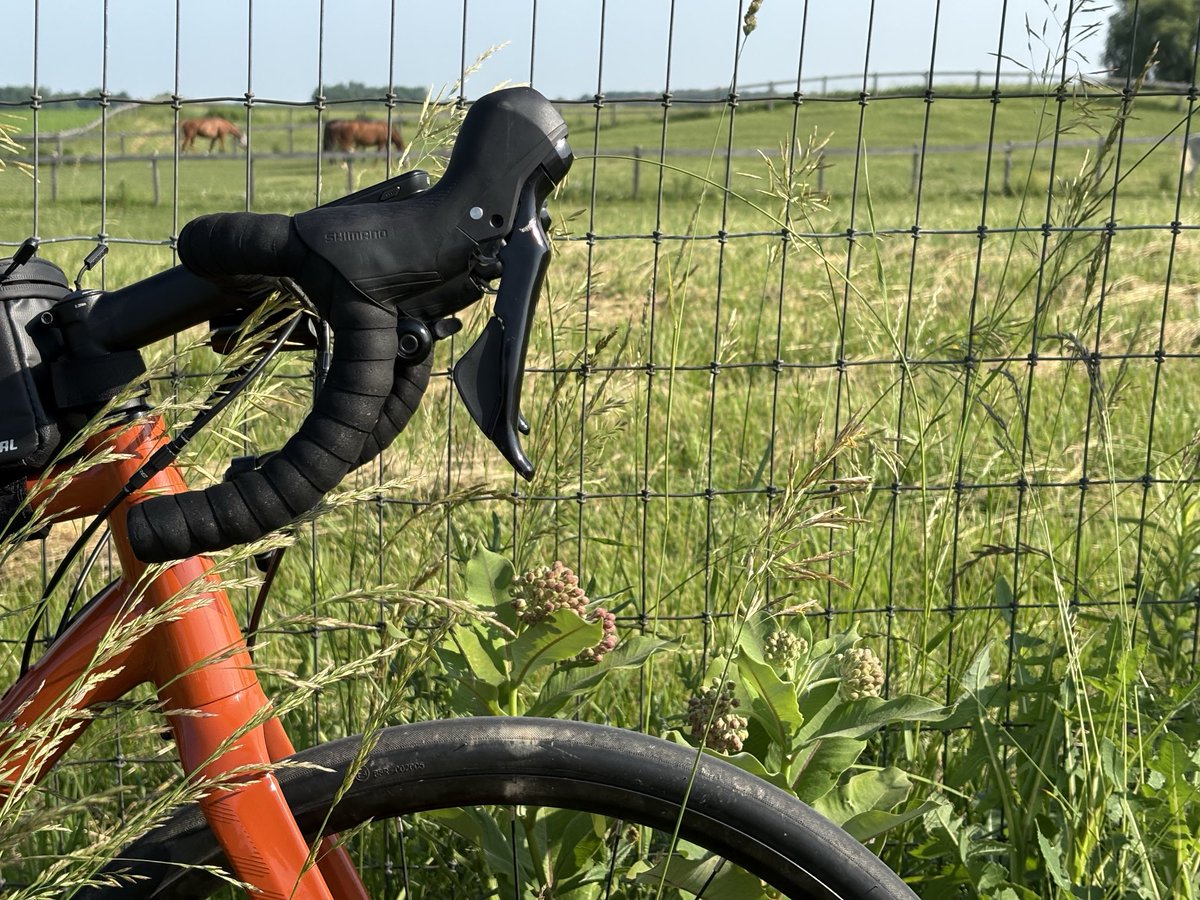 There’s nothing like a fast ride through the country. The earlier the better.

Add horses into the mix for an even more perfect morning.

So I paused the ride and watched quietly from the fence.

Soon enough it was time to hit the road. The horses barely looked up. 

#ldnont