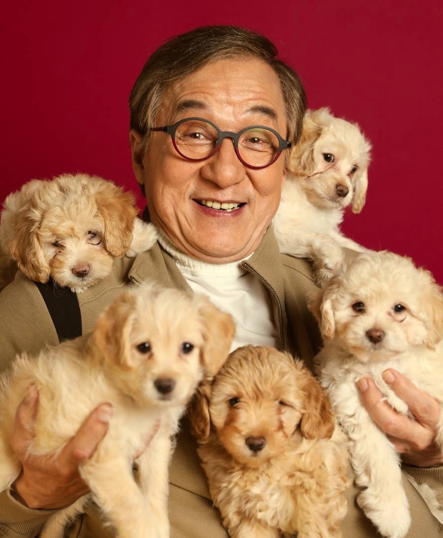 Самое милое на сегодня: Джеки Чан в окружении пёсиков 😍