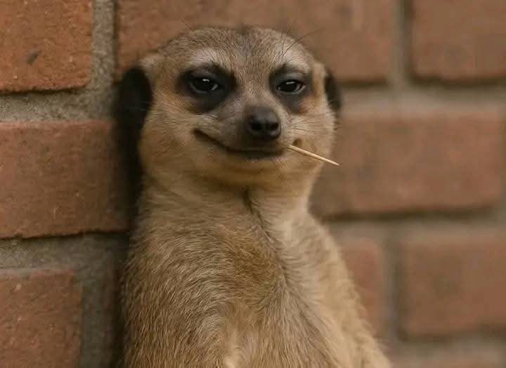 ItFly2's tweet image. Cooking oil refill vendor watching you buy solid oil that she just melted