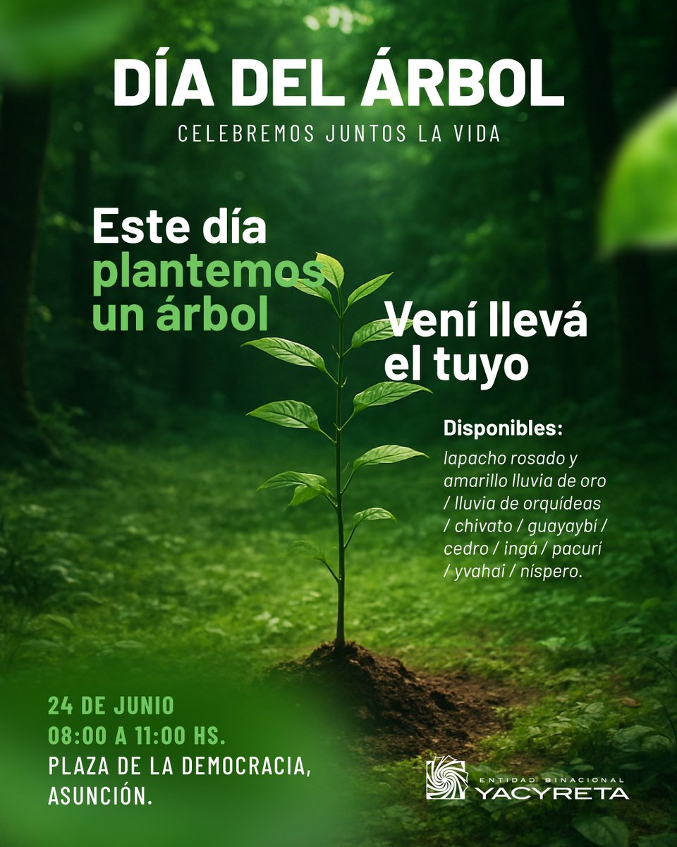 rnpy920am's tweet photo. #LaMañanaNacional conversamos con 🗣️ Arturo Candia, responsable del vivero forestal de la sede Asunción de la @ebypy 
🔹Mañana regalarán plantines a las personas para conmemorar el día del árbol, que fue el 19 de abril https://t.co/vQ6WxqPZ1U