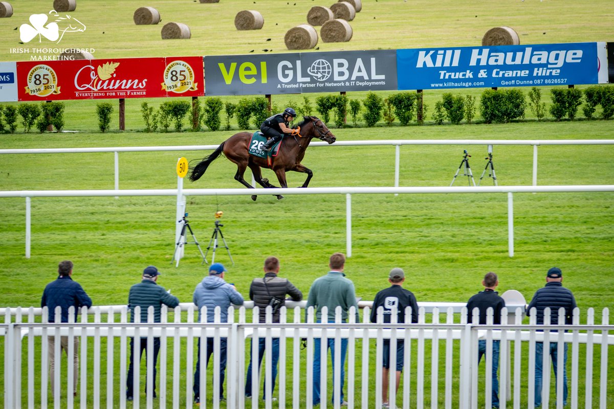 ITM (@irethoroughbred) on Twitter photo Breeze complete at <a href="/NaasRacecourse/">Naas Racecourse</a> for the first edition of <a href="/Goffs1866/">Goffs</a> Classic Breeze-Up!
5โฃ1โฃ high-potential juveniles will go under the hammer at Goffs on Saturday after a day of G1 racing at <a href="/curraghrace/">The Curragh Racecourse</a>. Check out the breeze videos below. โฌ๏ธ๐ค
๐๏ธ 6.15pm 28 June
๐ Breeze complete at <a href="/NaasRacecourse/">Naas Racecourse</a> for the first edition of <a href="/Goffs1866/">Goffs</a> Classic Breeze-Up!
5โฃ1โฃ high-potential juveniles will go under the hammer at Goffs on Saturday after a day of G1 racing at <a href="/curraghrace/">The Curragh Racecourse</a>. Check out the breeze videos below. โฌ๏ธ๐ค
๐๏ธ 6.15pm 28 June
๐