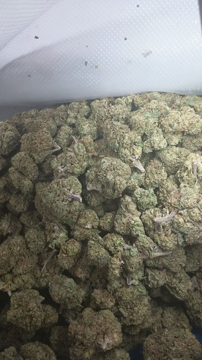 700 plate🔥Slow feet won’t Eat🥣(MIX AND MATCH YOUR ORDERS)

Frozen Yogurt 
Uncle Snoop
GMO
Ice Cream RUNTZ
GG