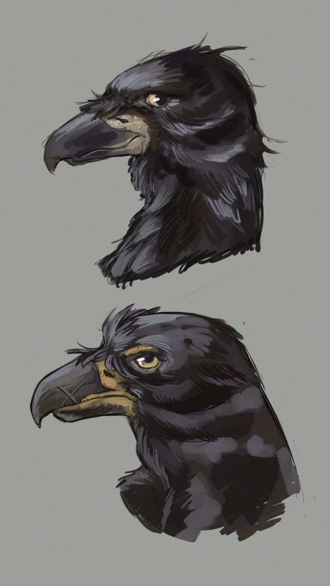 sosinsky.png /C0MMISSI0NS 0PEN/ tweet media