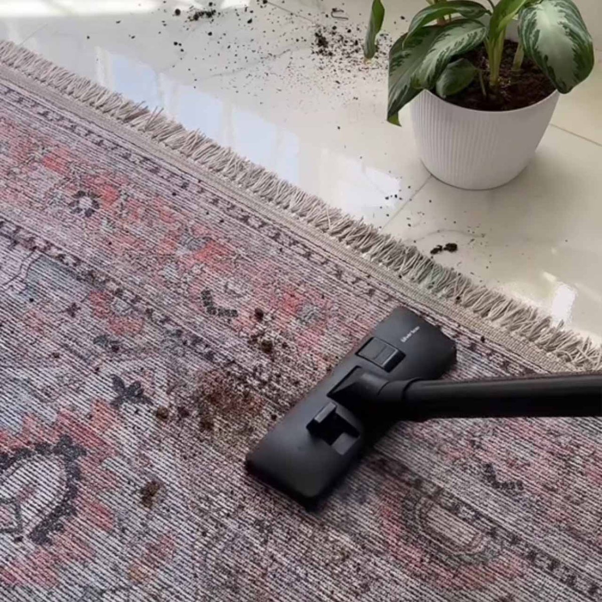 مـتـى آخـر مـرة نـظفـتـوا سـجــادتـكـم تـنـظـيـف عـمـيـق ؟ 🤔🧼