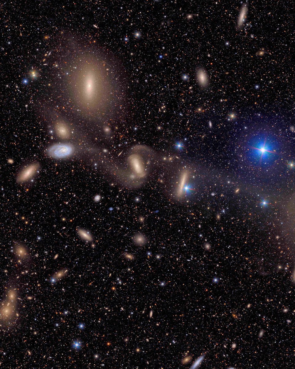 The Vera Rubin Observatory in Chile has just unveiled its first breathtaking images — revealing our Milky Way and faraway galaxies in stunning, never-before-seen detail. Among them: a mesmerizing composite of the Trifid Nebula and the Lagoon Nebula — two star-forming regions