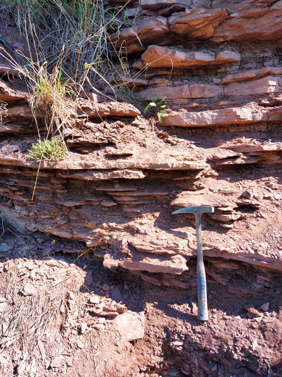 Moskalewicz_D's tweet image. Excited to share that I've been appointed as ECR Officer for the @INQUA =&amp;gt; @terpro_inqua commission! Looking forward to representing #ECR and further contributing to #Quaternary #Geology I decline rumours that I live only with the coasts😋🏞️🗻⛏️🔬see You on @inqua2027india 😁