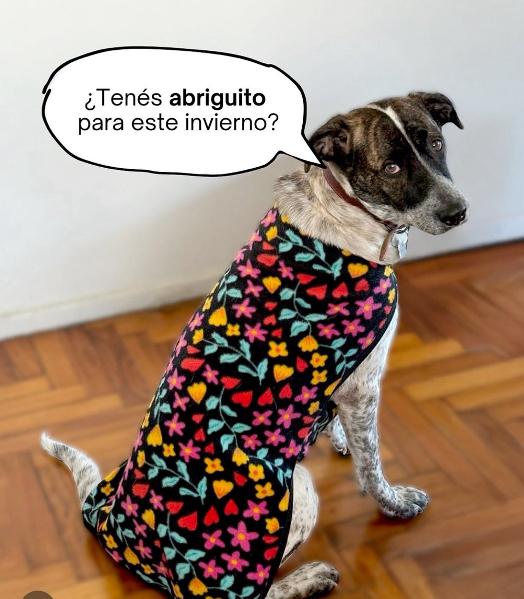 santaramonapro1's tweet photo. Vendemos abriguitos de polar para perritos. Si necesitas alguno, comprándonos nos ayudás a seguir haciendo castraciones en la villa 1-11-14. Los llevamos a domicilio gratis en Capital, todos los talles y modelos! Teléfono 1135916794. Si compartís el flyer nos ayudas un montón. https://t.co/1abs0c9yxj