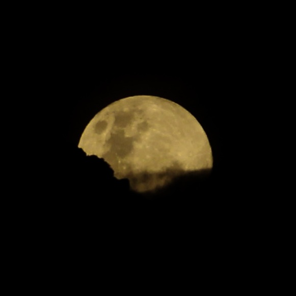 alam (@wadimorl) on Twitter photo 