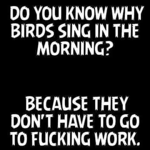 💋☕Happy 🤪 Monday☕💋