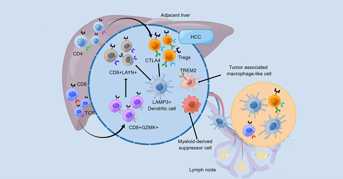 GenesNDiseases's tweet photo. Most read article on SCS technology!
A comprehensive review on #SingleCellSequencing technology, highlighting its latest developments in tumor research and progress in exploring the #TumorMicroenvironment.
#OpenAccess: https://t.co/o1yitZhTnO https://t.co/4g0xZv9ImQ