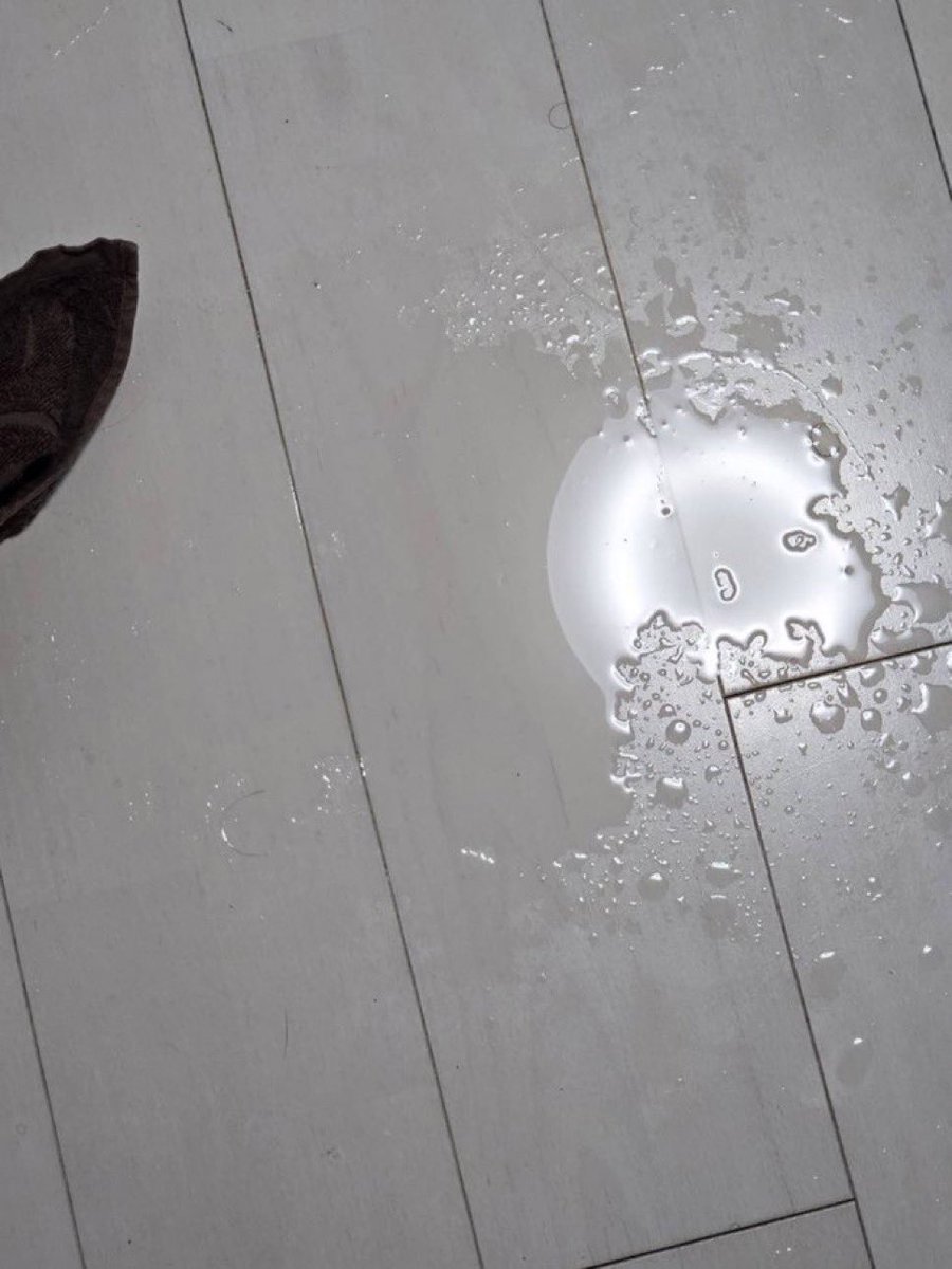 吹きすぎて失神した…🥹🐳💦

3分17秒
♡とリプでDM💬🎥

2時間で消す
※フォローしないとDMできないよ？