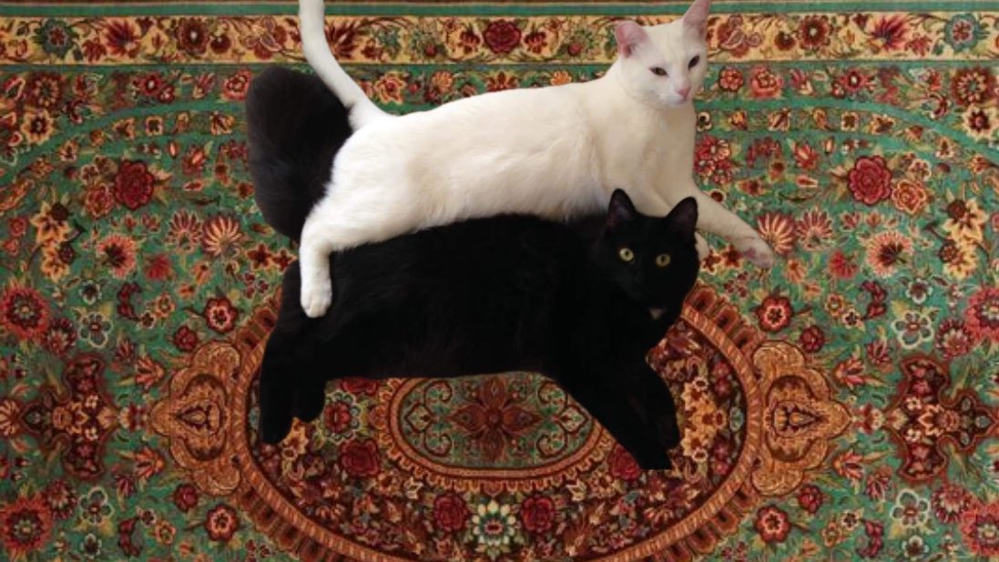 إيوَان tweet media