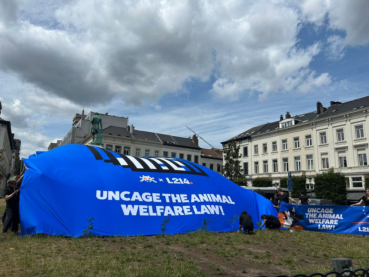 StephaneLAMART's tweet image. 📢Aux côtés de @L214 et d'autres ONG animalistes, l'Association Stéphane Lamart se mobilise aujourd'hui devant le Parlement européen pour exiger une révision ambitieuse de la législation sur le bien-être animal et dénoncer l'inaction des institutions🐷🐓🇪🇺