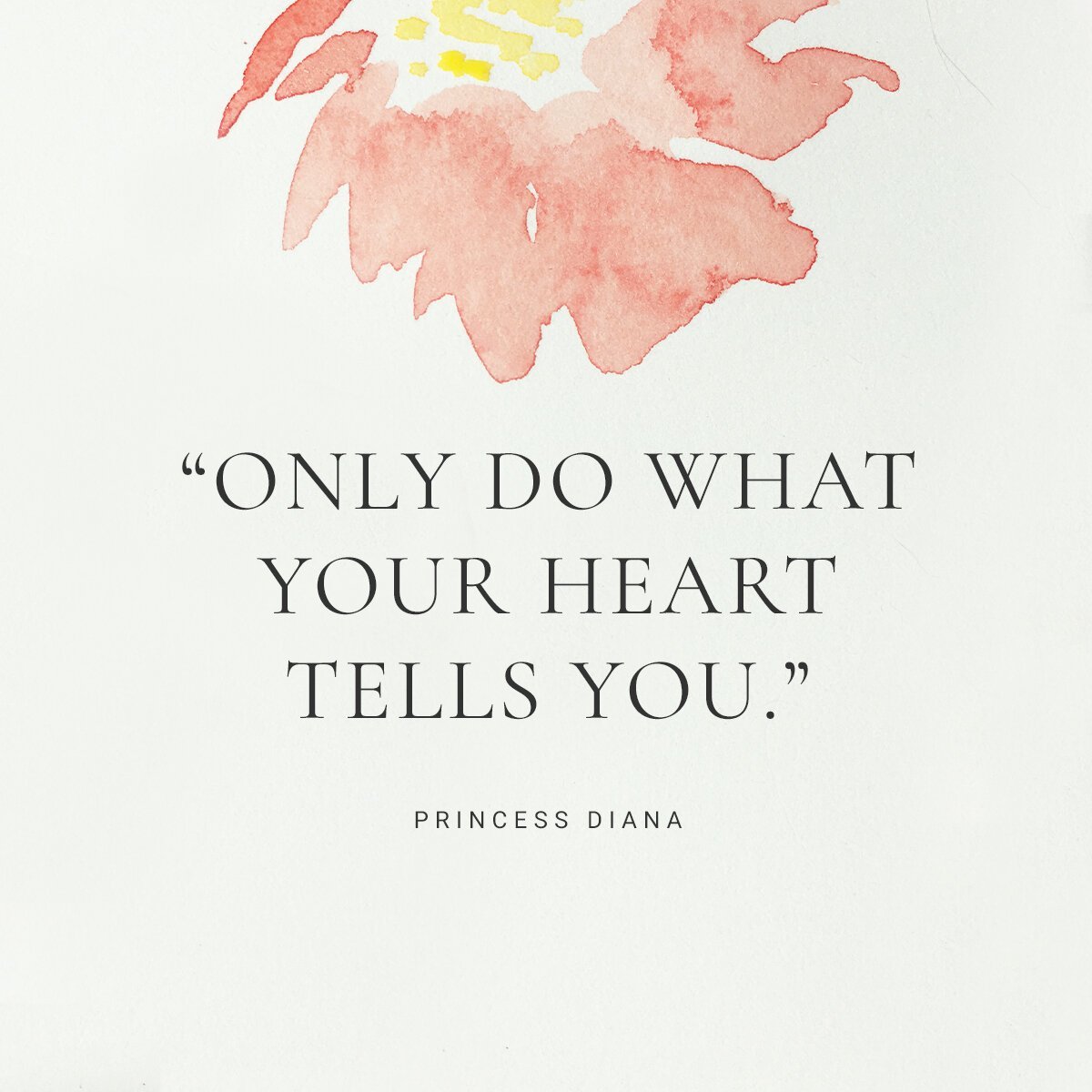 Wise Wisdom (@_wise_wisdom_) on Twitter photo 