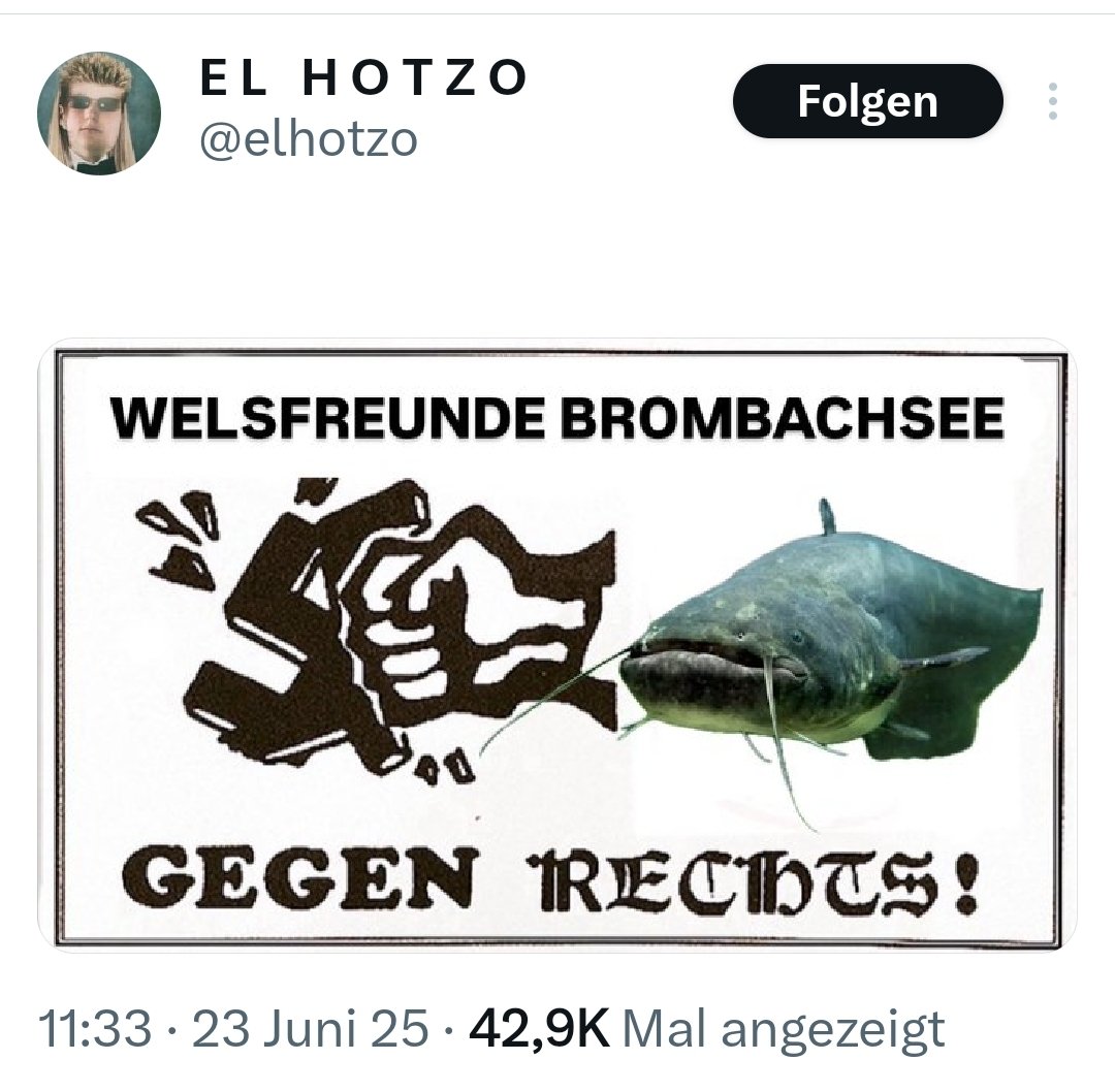 Was sagt es über die Qualität der Stolzbubble aus, dass sie hunderte Memes zu einem Thema erstellen, das auch El Hotzo lustig findet?

Das Wels-Meme ist mit diesem El-Hotzo-Post übrigens tot und wirkt ab jetzt automatisch forciert - was es eigentlich auch schon seit gestern tut.