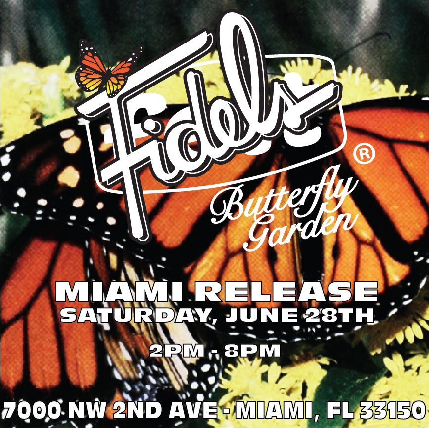 The Felt store finally re opens this Saturday and we can’t wait to see all of the homies.

New Felt, restock of classic items, and a re release of our entire <a href="/Flowersbyfidels/">Fidels</a> collaboration, from grass to garments.

June 28th

2:00pm - 8:00pm

#ShopTalk
#FeltForever
#Back2Basics