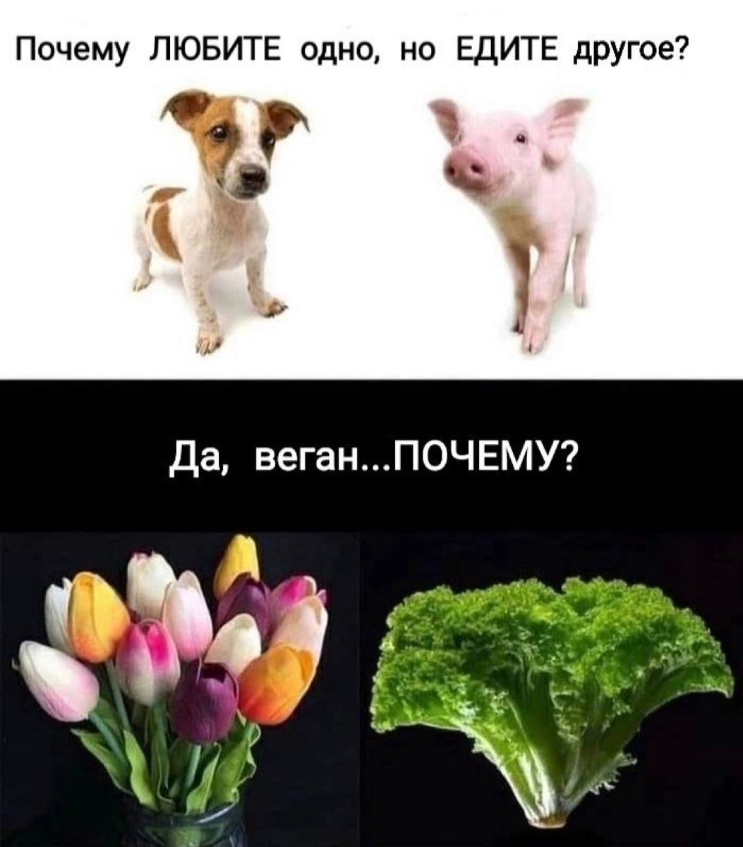 MDK (@__mudakoff) on Twitter photo 