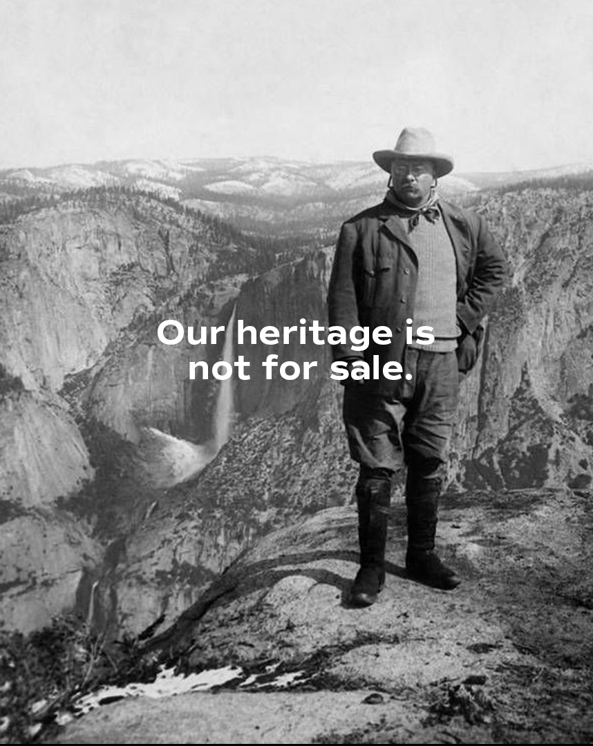 BullMooseProj's tweet image. Good morning.