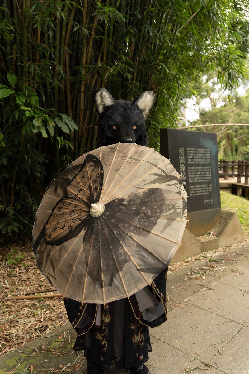 莊生曉夢迷蝴蝶。  

攝影：<a href="/Take82168451/">Hoshita Kesora 竹子 🐾UTFG</a>
#FursuitEveryday