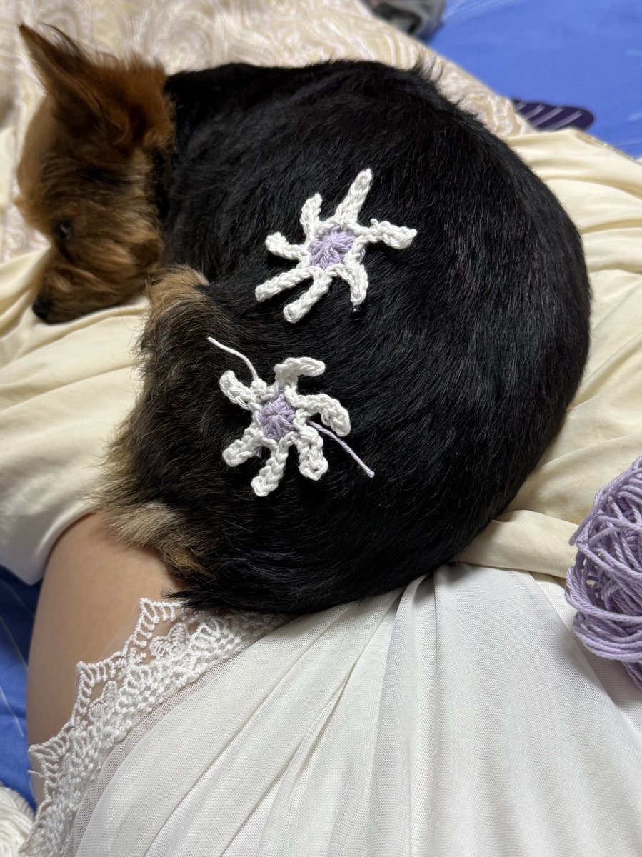 お花パラダイス