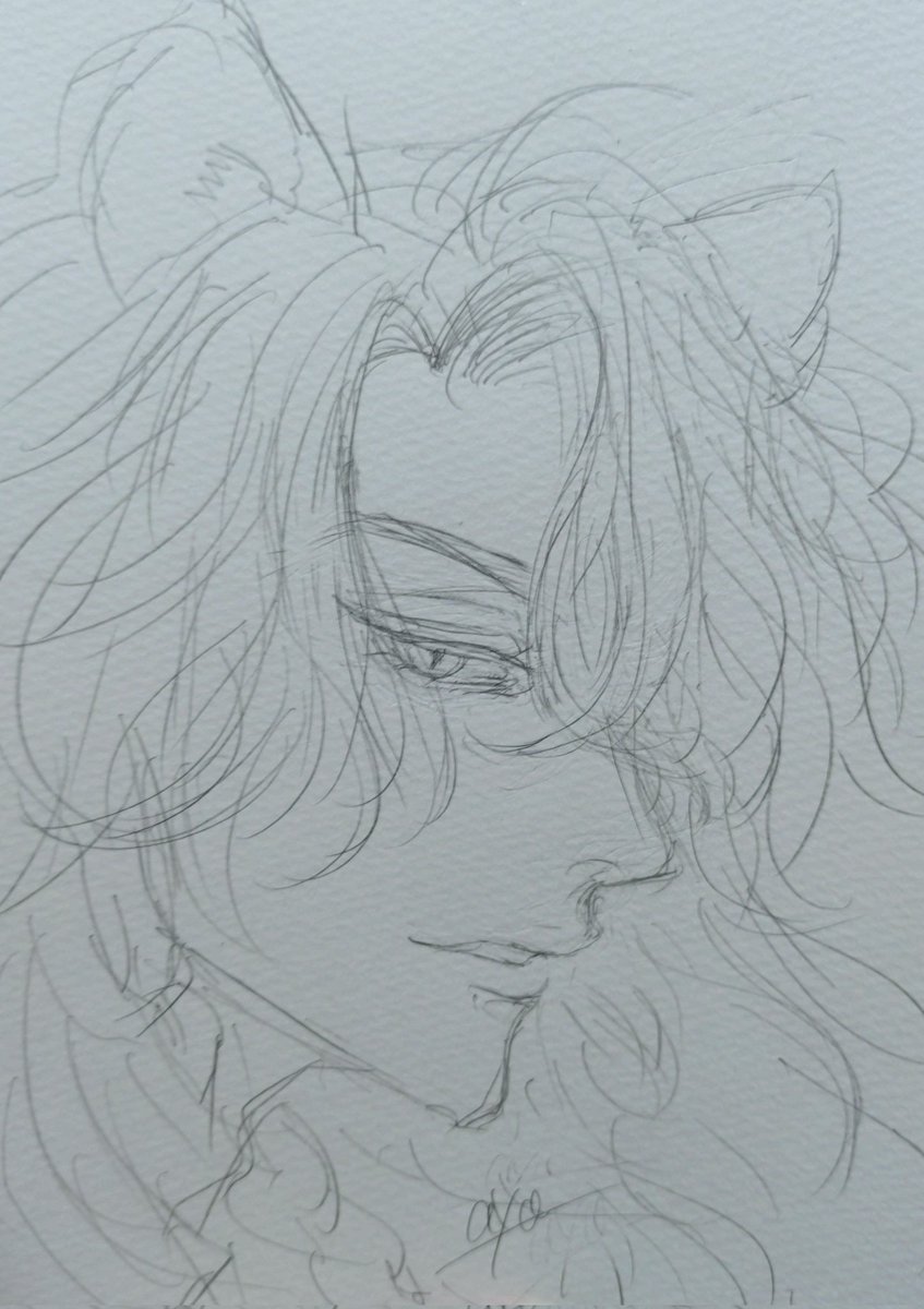 キャラの顔が描きたくて落書き。
👑と🦁 